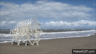strandbeest